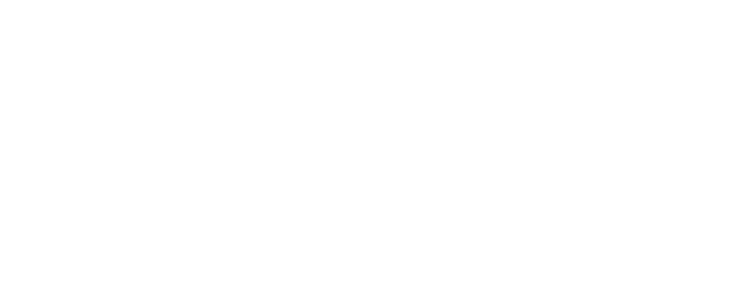 株式会社 亀甲